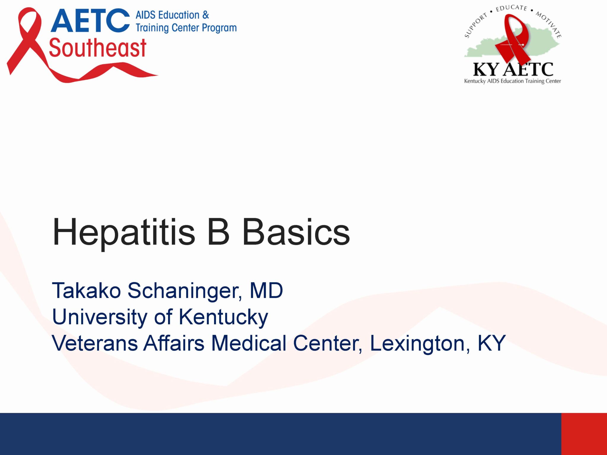 Webinar: Hepatitis B Basics – Southeast AIDS Education & Training Center